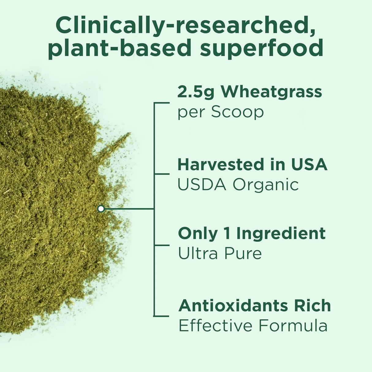 YUVE NATURALS - Yuve USDA Organic Wheatgrass Powder 150Gr. - The Red Vitamin MX - Suplementos Alimenticios - {{ shop.shopifyCountryName }}