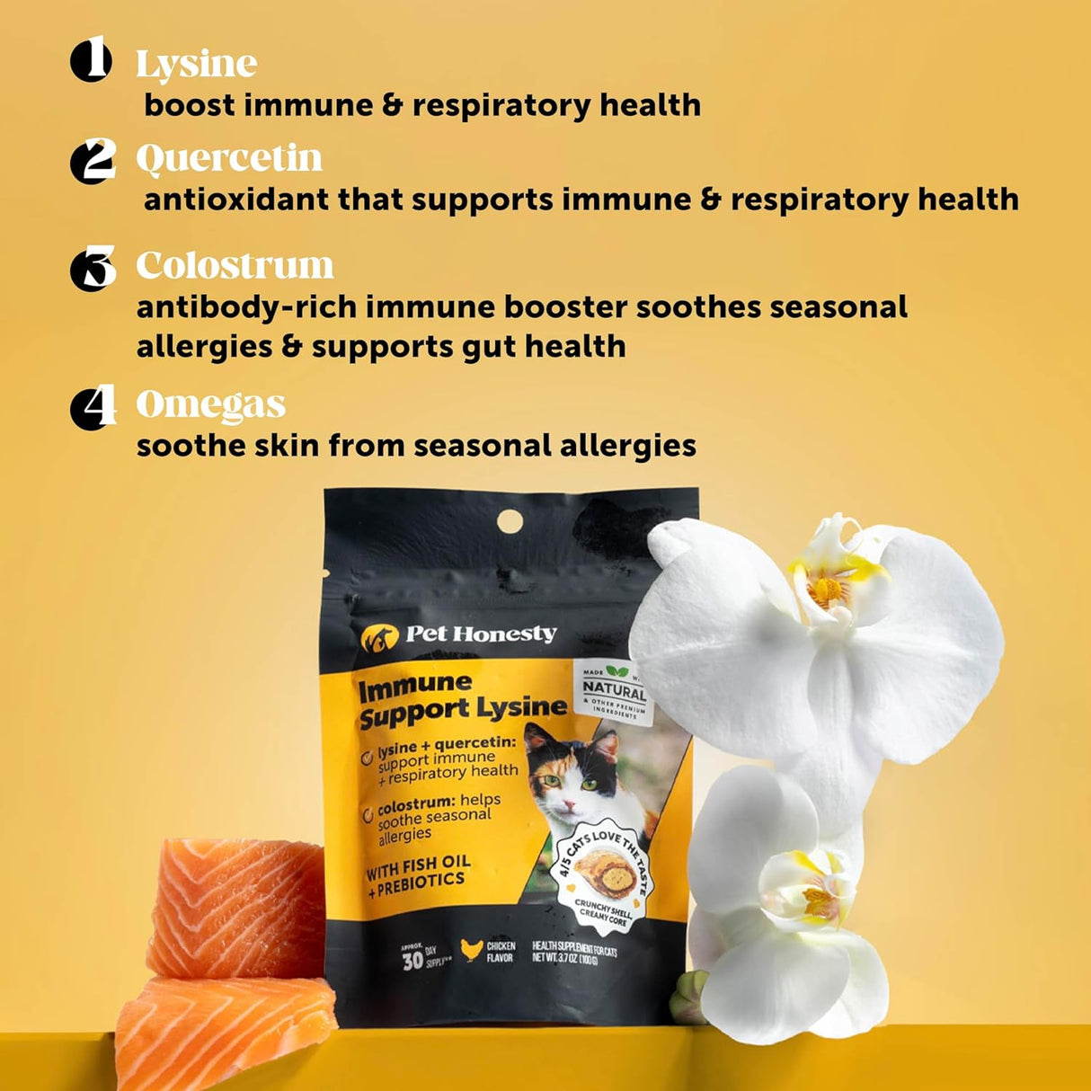 Pet Honesty Cat Immune Support Lysine 100Gr.