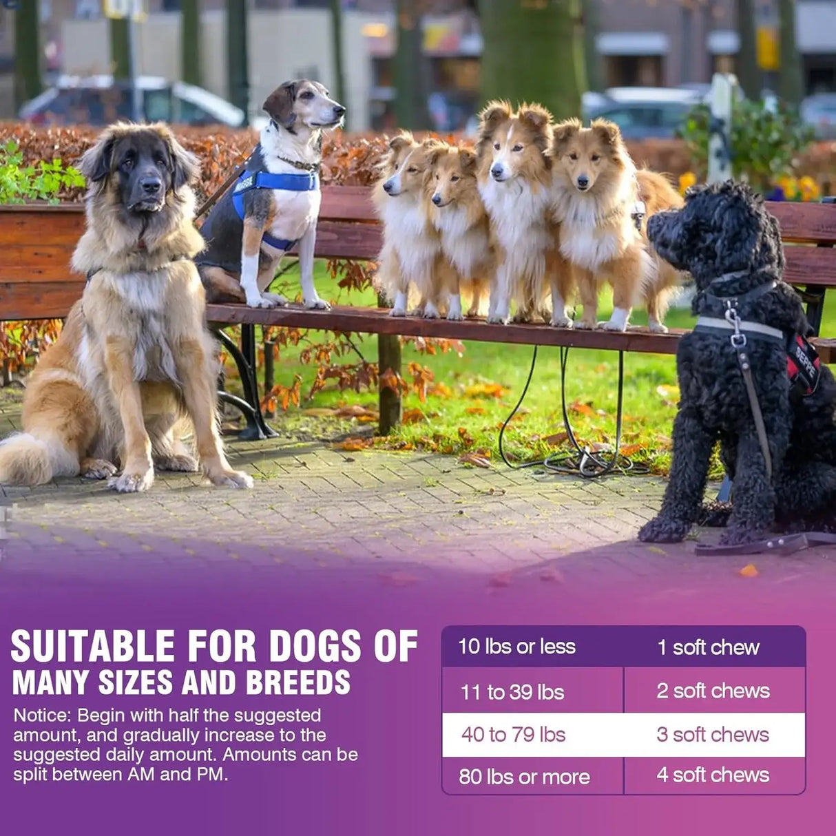 TTLXRL - TTLXRL Hip and Joint Glucosamine for Dogs 200 Masticables - The Red Vitamin MX - Cuidado De Cadera Y Articulaciones Para Perros - {{ shop.shopifyCountryName }}