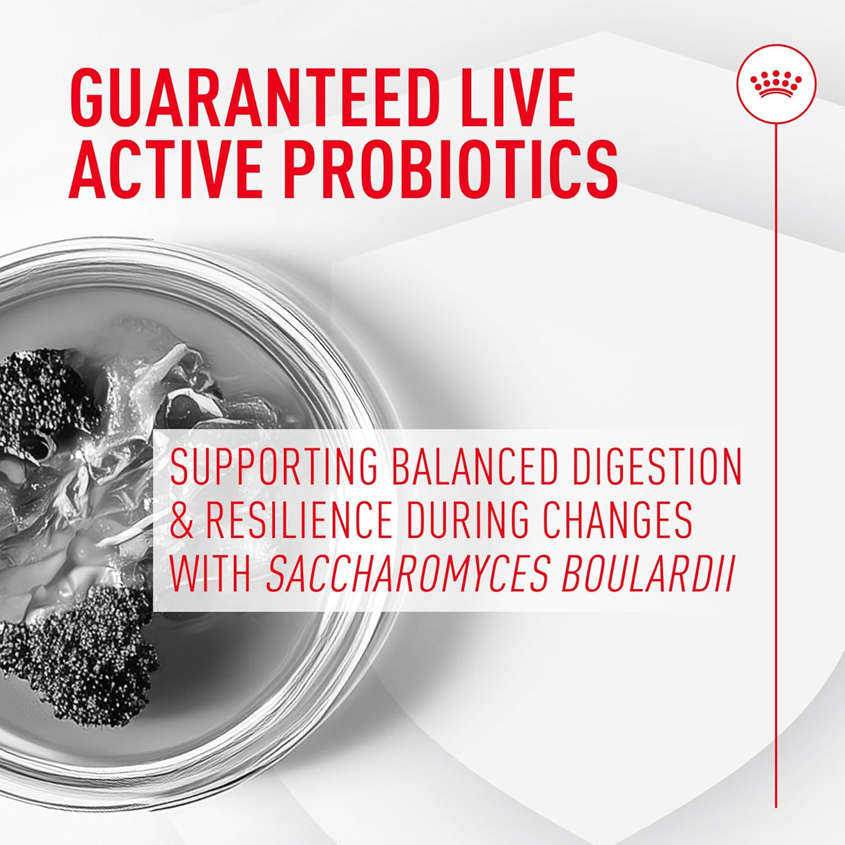 Royal Canin Probiotics for Cats Digestive and Immune Health Powder 30 Paquetes