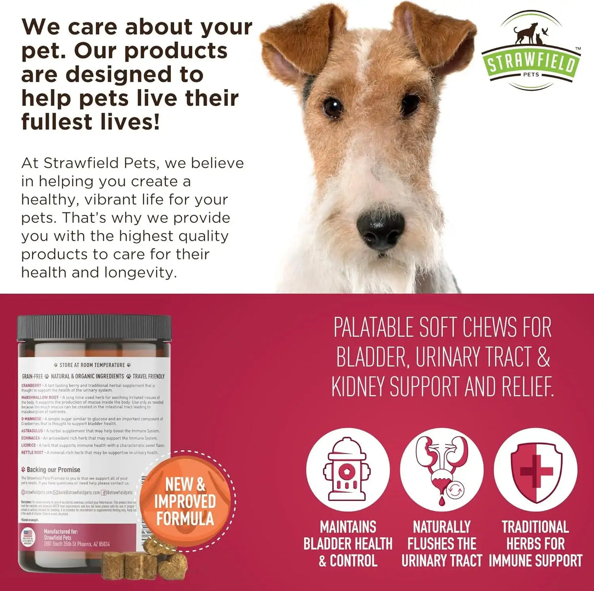 STRAWFIELD PETS - Strawfield Pets Cranberry UTI Treatment for Dogs Peanut Butter Flavor 120 Masticables - The Red Vitamin MX - Salud De Tracto Urinario Para Perros - {{ shop.shopifyCountryName }}