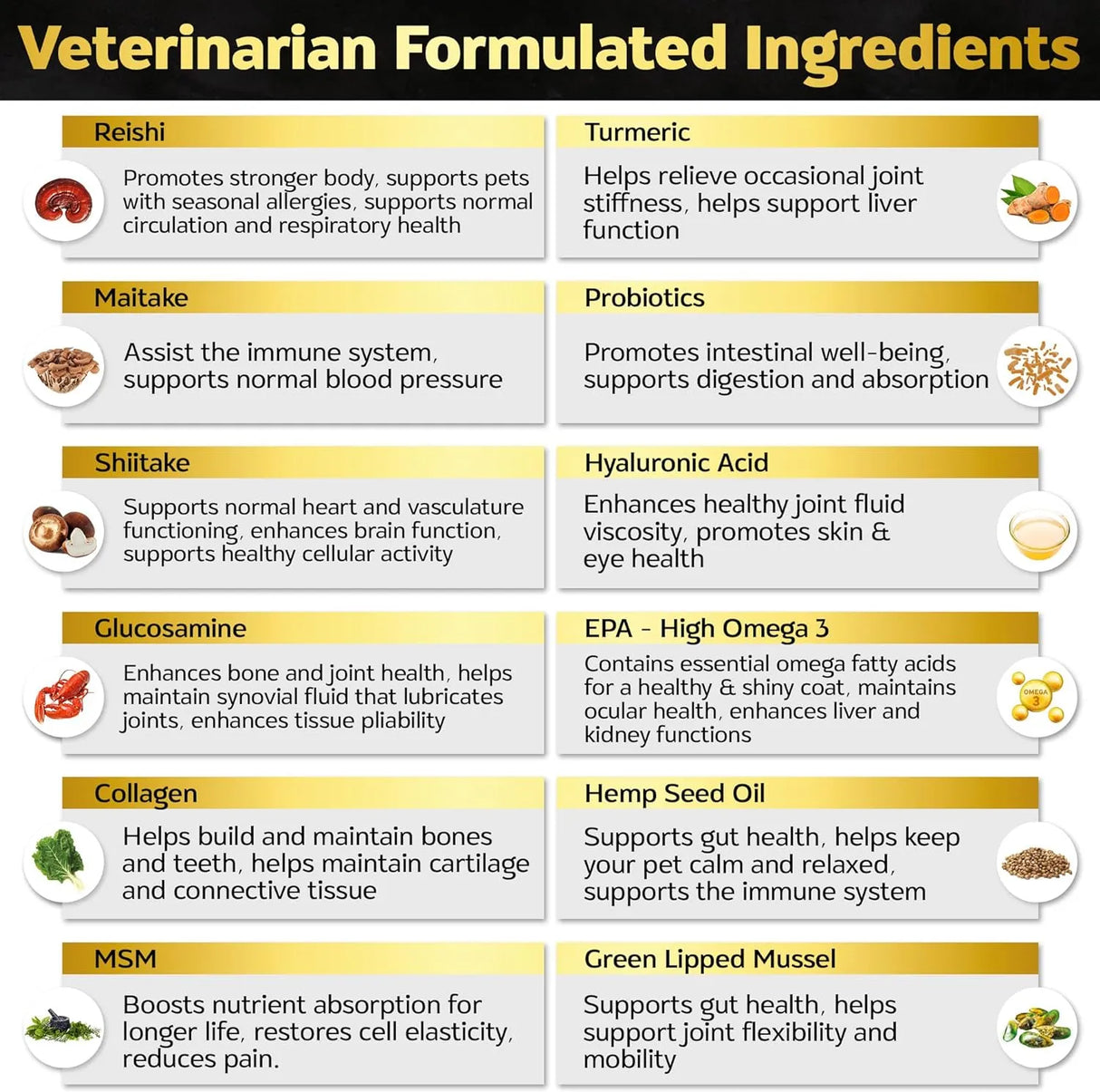 LIFE4LEGS - Life4Legs Soft Chews Dog Vitamins & Supplements Bacon 90 Masticables - The Red Vitamin MX - Multivitamínicos Para Perros - {{ shop.shopifyCountryName }}