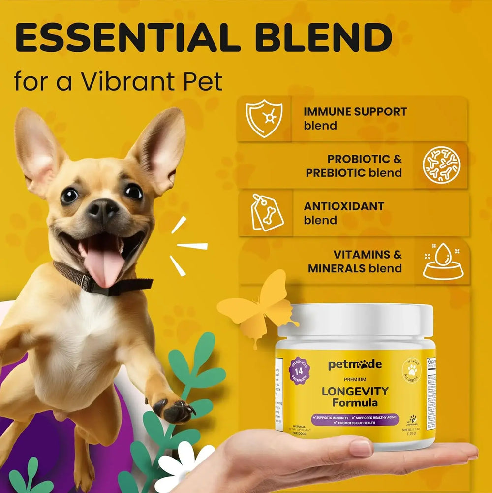 PETMADE - PETMADE Longevity Formula Turkey Tail Mushroom Antioxidant Dog 150Gr. - The Red Vitamin MX - Suplementos Herbales Para Perros - {{ shop.shopifyCountryName }}