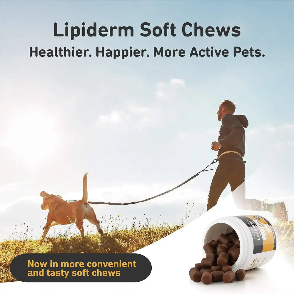 IVS - IVS New International Veterinary Sciences Lipiderm Skin and Coat Fish Oil Omega 3 and 6 Dietary Supplement Dogs 90 Masticables - The Red Vitamin MX - Aceite De Pescado Para Perros - {{ shop.shopifyCountryName }}