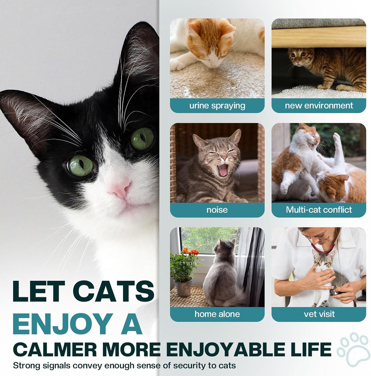 LIWENQI Cat Calming Diffuser 6 in 1 Multicat Calming Pheromones Kit