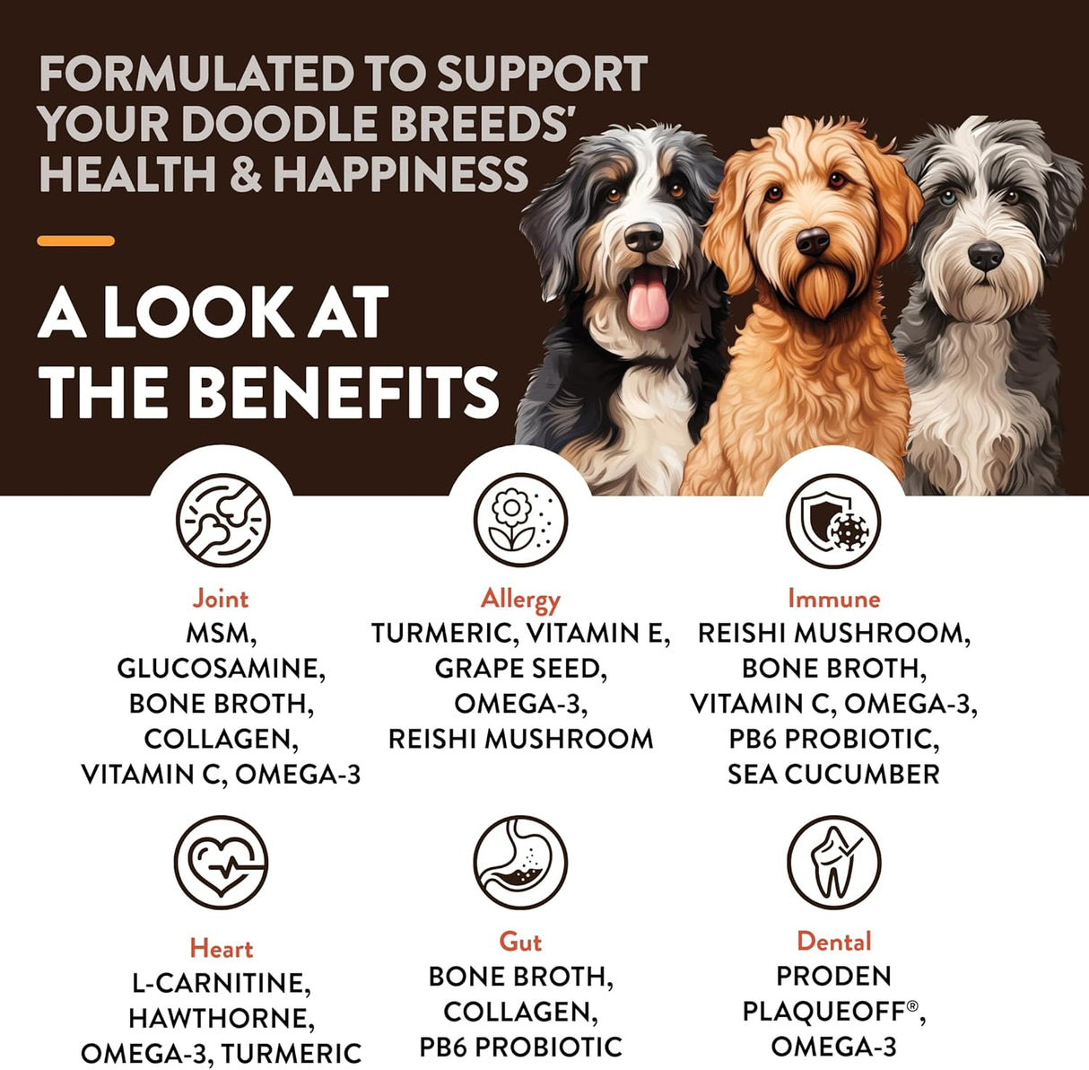 NATURVET - NaturVet Doodle Breeds Supplement 50 Masticables - The Red Vitamin MX - Multivitamínicos Para Perros - {{ shop.shopifyCountryName }}