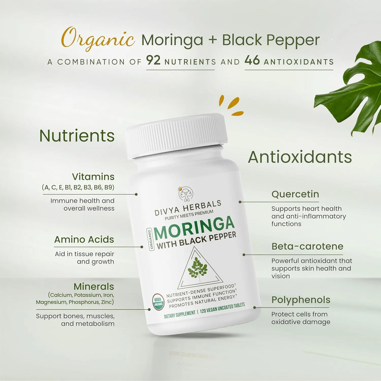 DIVYA HERBALS - Divya Herbals Organic Moringa 120 Tabletas - The Red Vitamin MX - Suplementos Alimenticios - {{ shop.shopifyCountryName }}