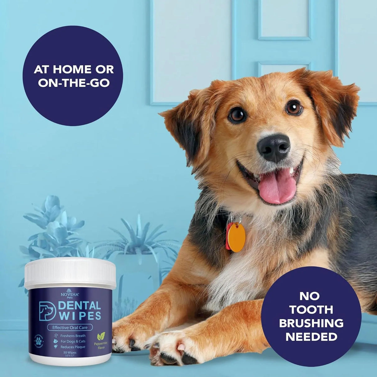 NOVEHA - NOVEHA Pets Dental Finger Wipes for Dogs & Cats Mint 50 Toallitas - The Red Vitamin MX - Cuidado Dental Para Perros - {{ shop.shopifyCountryName }}