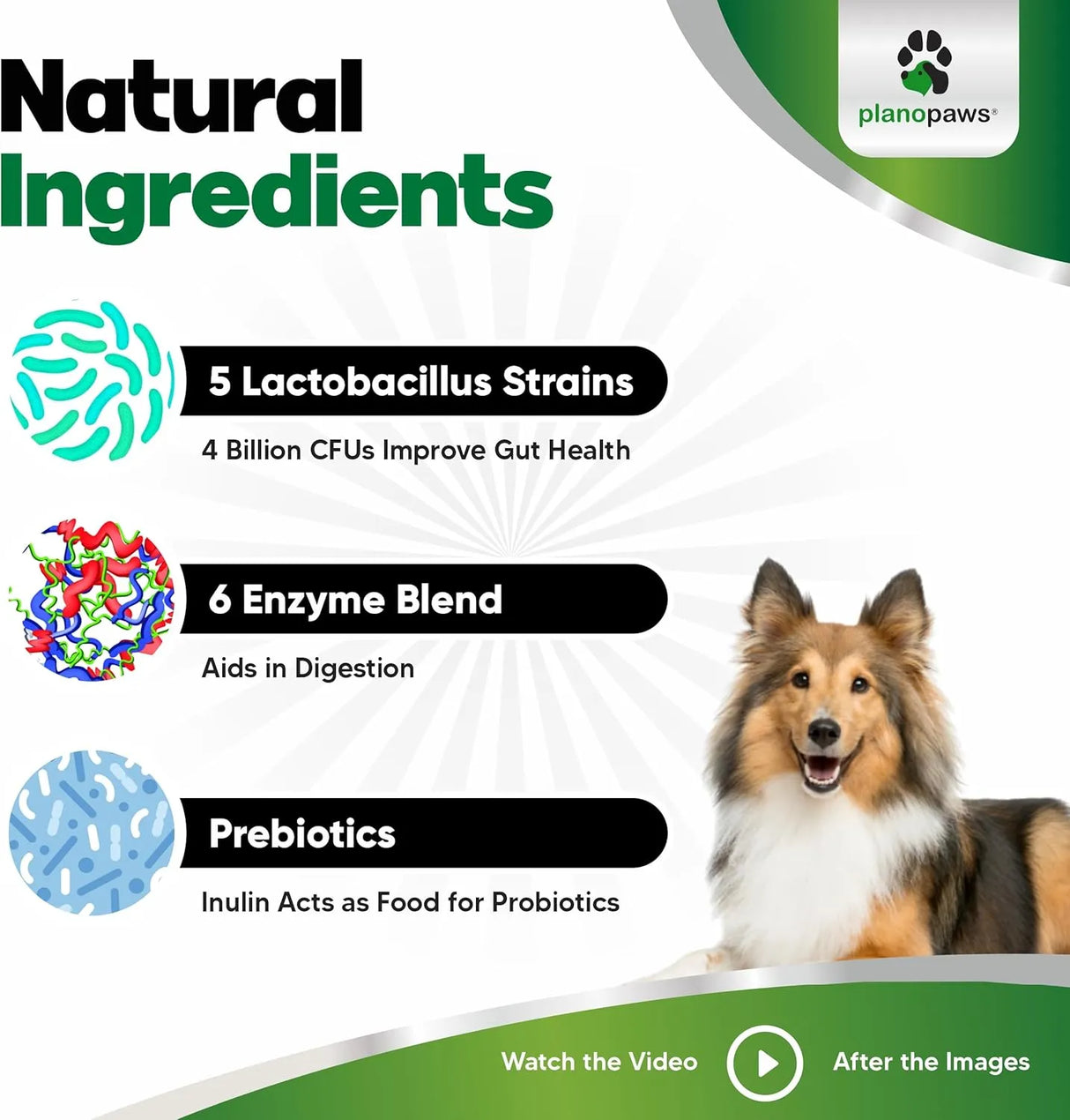 PLANOPAWS - Planopaws Probiotics for Dogs All Ages 90 Masticables - The Red Vitamin MX - Probióticos Para Perros - {{ shop.shopifyCountryName }}