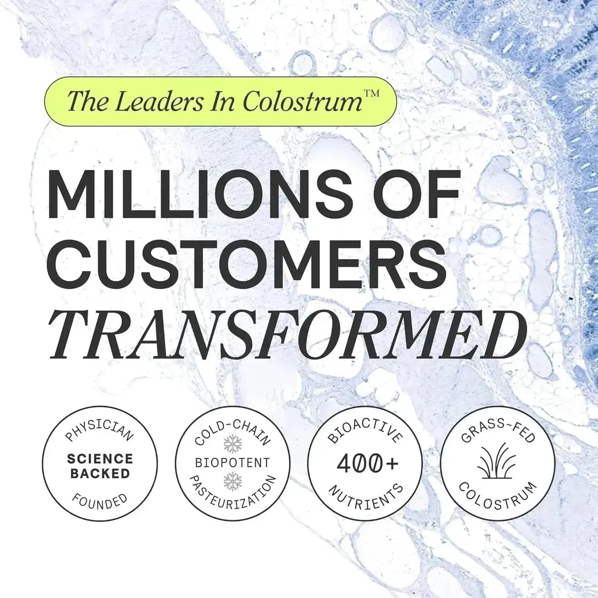 ARMRA - ARMRA Colostrum Premium Powder Blood Orange 30 Paquetes - The Red Vitamin MX - Suplementos Alimenticios - {{ shop.shopifyCountryName }}