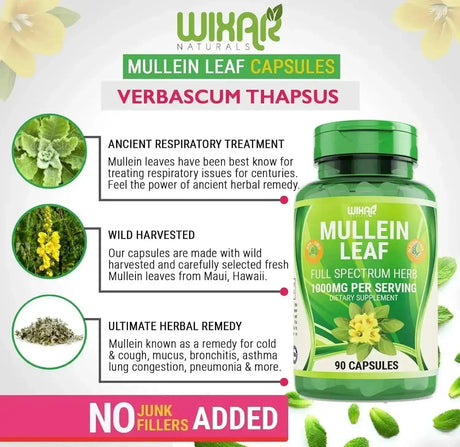 WIXAR NATURALS - WIXAR NATURALS Mullein Leaf 1000Mg. 90 Capsulas - The Red Vitamin MX - Suplementos Alimenticios - {{ shop.shopifyCountryName }}