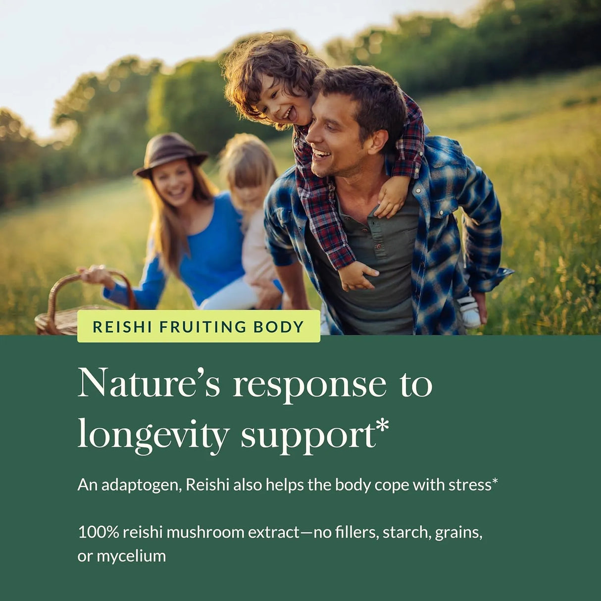 GAIA HERBS - Gaia Herbs Reishi Mushroom 40 Capsulas - The Red Vitamin MX - Suplementos Alimenticios - {{ shop.shopifyCountryName }}