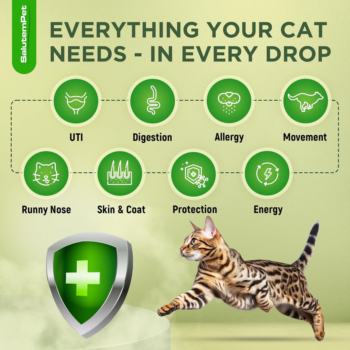 SalutemPet Cat Antibiotic for Infections UTIs Respiratory Moments Cold, & Allergies 2 Fl.Oz.