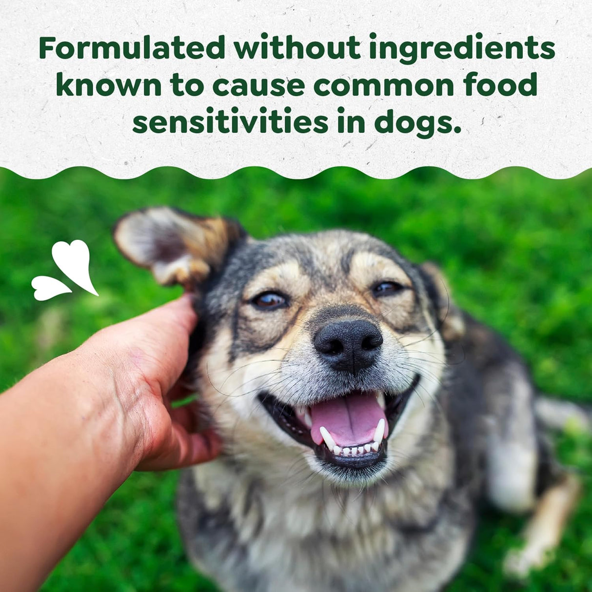 Greenies Sensitive Care Digestive Health Dog Supplement 80 Masticables