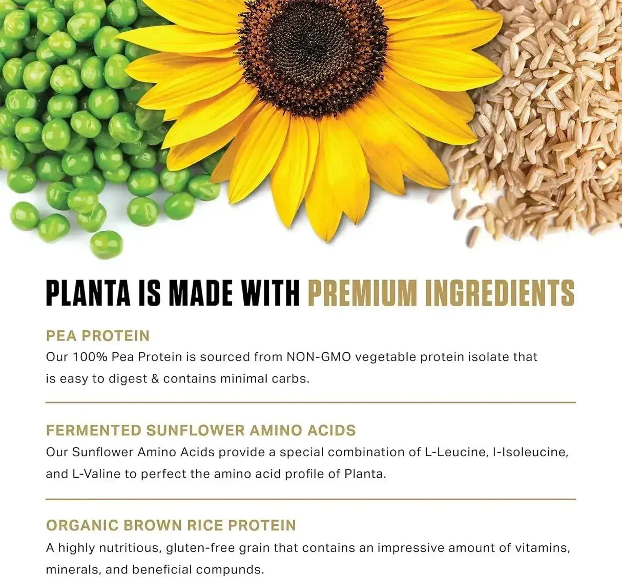 AMBROSIA - Ambrosia Planta Premium Organic Plant-Based Protein 25 Servicios Vanilla 750Gr. - The Red Vitamin MX - Suplementos Alimenticios - {{ shop.shopifyCountryName }}