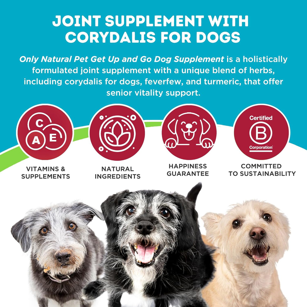Only Natural Pet Get Up & Go Herbal Joint Support Supplement for Dogs 60 Masticables