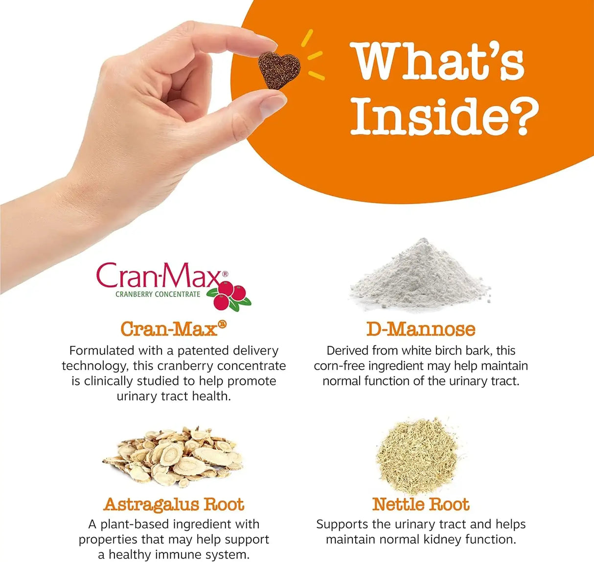 ZESTY PAWS - Zesty Paws Cranberry Supplement for Dogs Urinary Tract Support BACON 90 Masticables - The Red Vitamin MX - Salud De Tracto Urinario Para Perros - {{ shop.shopifyCountryName }}
