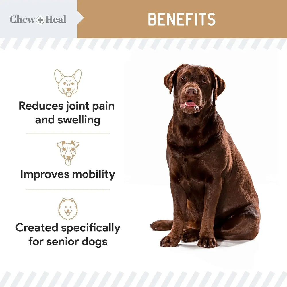 CHEW + HEAL - Chew + Heal Labs Senior Hip and Joint Peanut Butter Flavor 120 Masticables - The Red Vitamin MX - Cuidado De Cadera Y Articulaciones Para Perros - {{ shop.shopifyCountryName }}