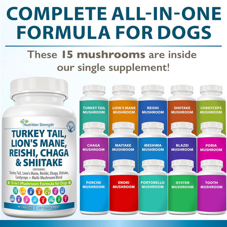 NUTRITION STRENGTH - Nutrition Strength 15-in-1 Mushrooms for Dogs 90 Tabletas - The Red Vitamin MX - Suplementos Herbales Para Perros - {{ shop.shopifyCountryName }}