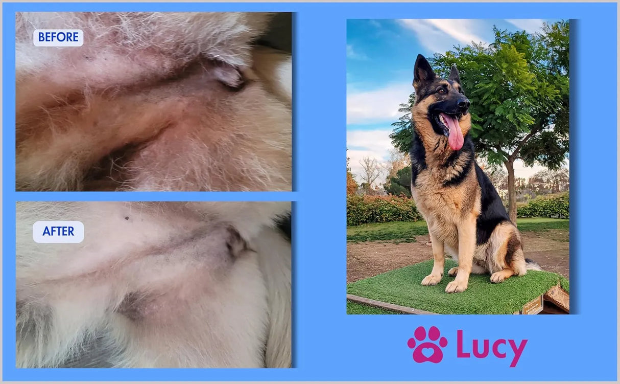 LUCY'S PET - Lucy's Pet Skin Relief Spray for Dogs & Cats 12 Fl.Oz. - The Red Vitamin MX - Remedios Para La Picazón De Perros - {{ shop.shopifyCountryName }}