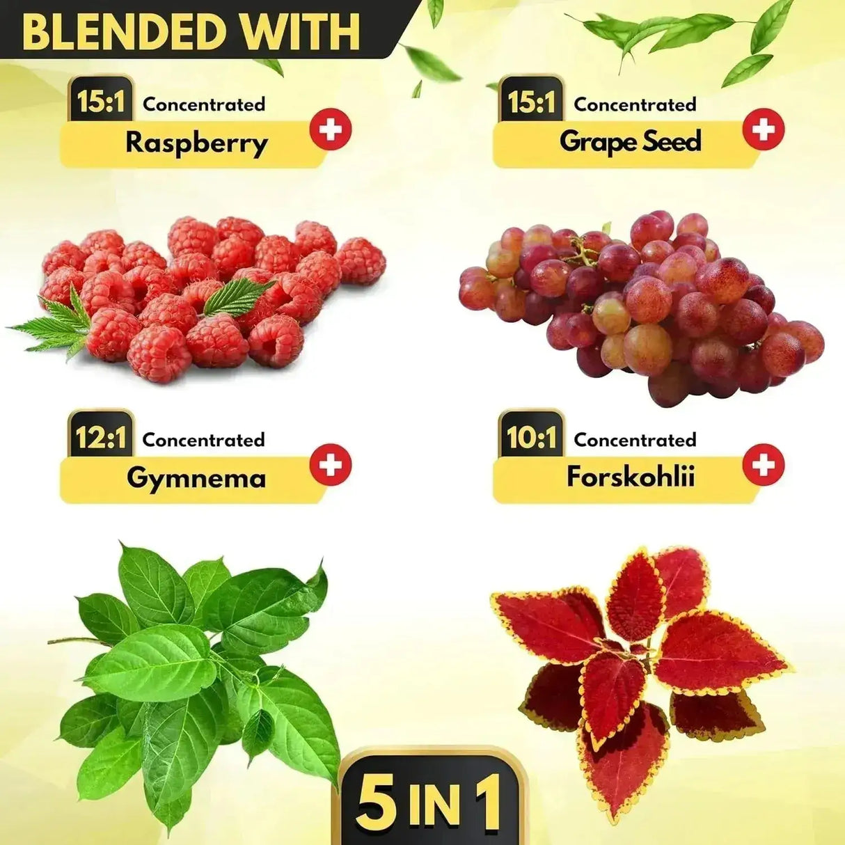 SATOOMI - Satoomi 5in1 Organic Green Tea Extract with EGCG 14,200Mg. 120 Capsulas - The Red Vitamin MX - Suplementos Alimenticios - {{ shop.shopifyCountryName }}