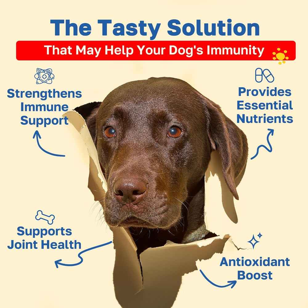 Happy Paws Immunity Daily Wellness Support for Dogs 100 Masticables