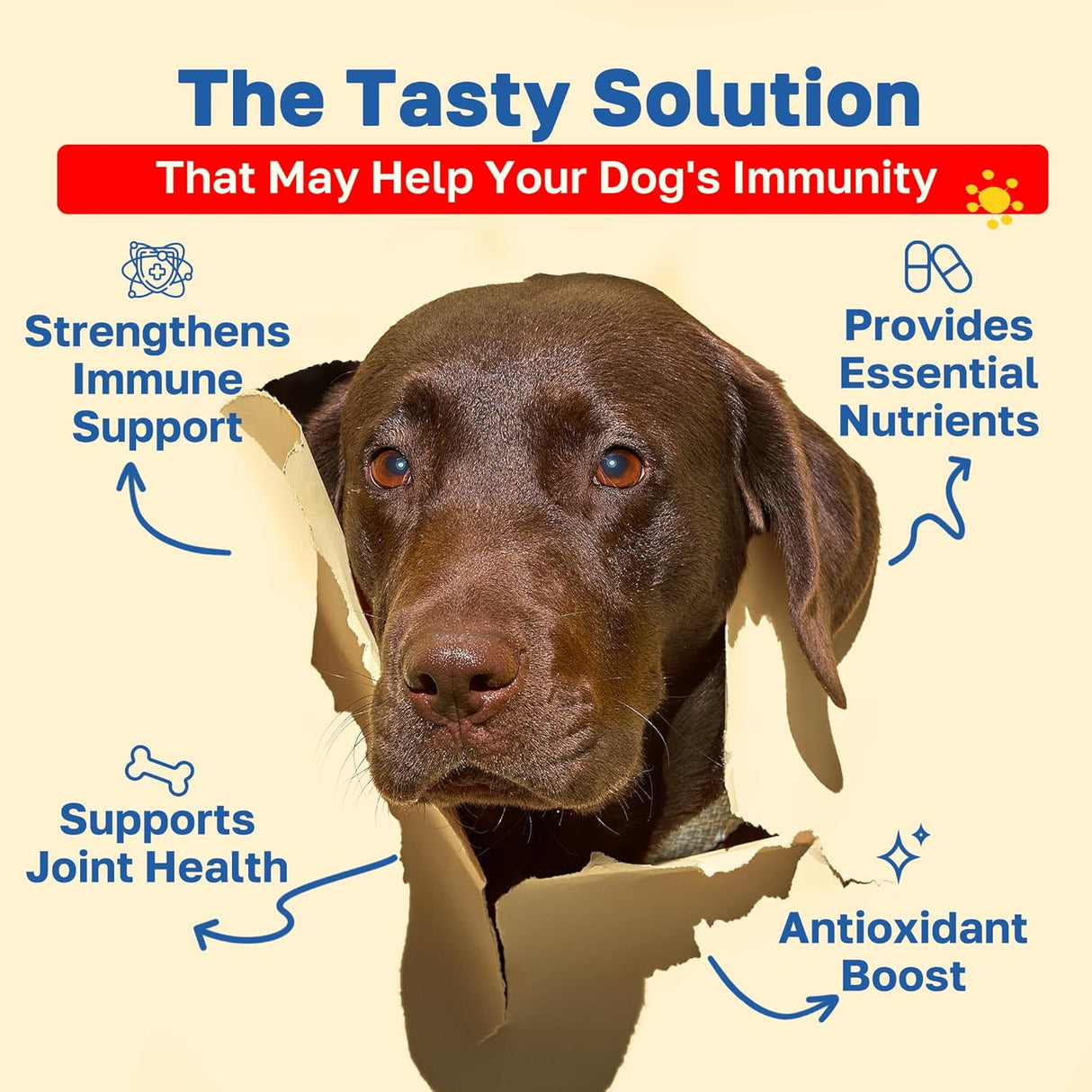 Happy Paws Immunity Daily Wellness Support for Dogs 100 Masticables 2 Pack
