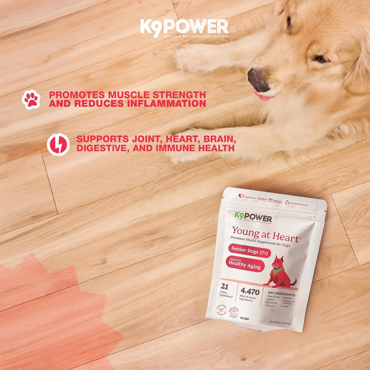 K9 Power Young at Heart Senior Dog Multivitamin 454Gr. 2 Pack