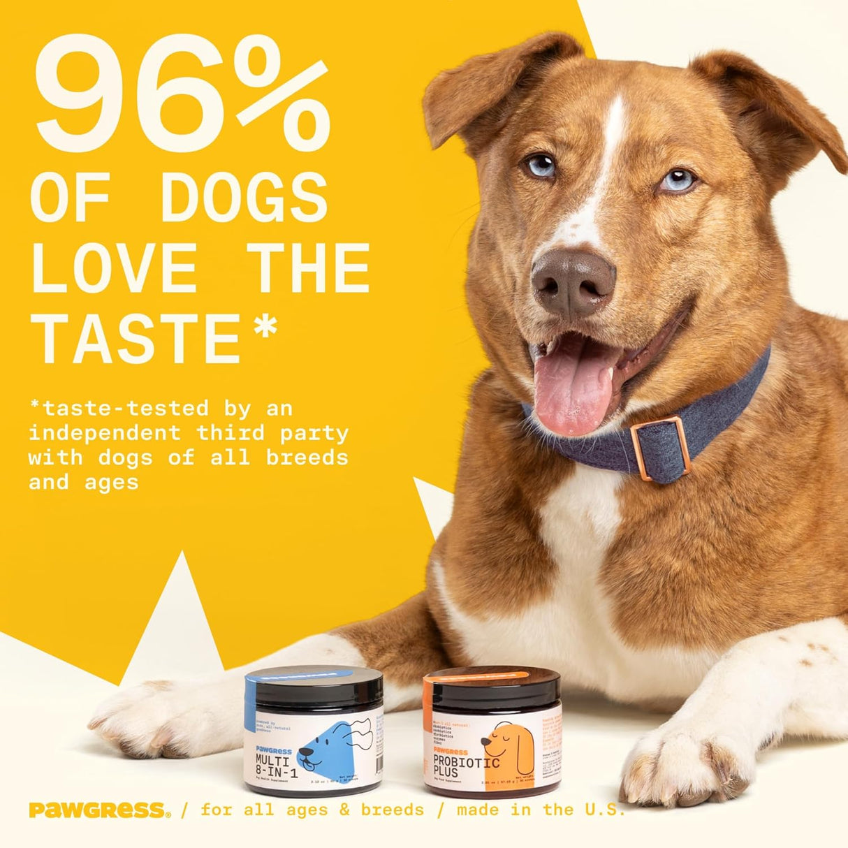 PAWGRESS 8-in-1 Dog Multivitamin 30 Servicios