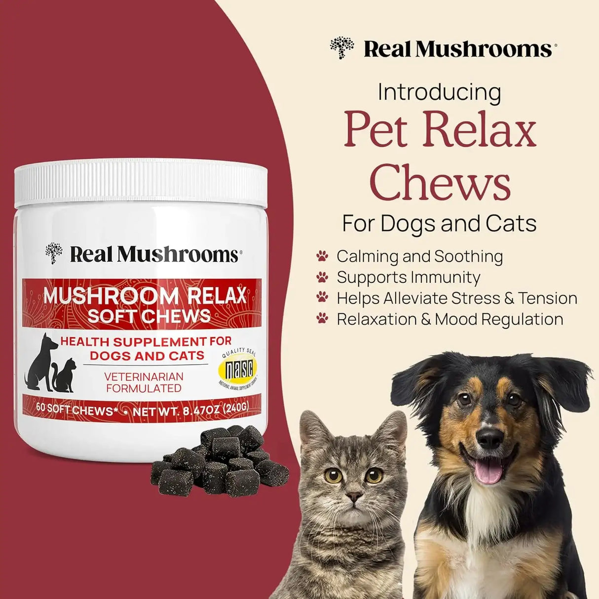 REAL MUSHROOMS - Real Mushrooms Calming Treats for Dogs & Cats 60 Masticables - The Red Vitamin MX - Suplementos Herbales Para Perros - {{ shop.shopifyCountryName }}