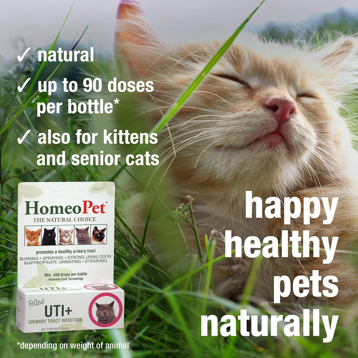 HomeoPet Feline UTI Plus Safe and Natural Urinary Tract Supplement for Cats 15Ml.