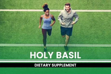 PURE ORIGINAL INGREDIENTS - Pure Original Ingredients Holy Basil 365 Capsulas - The Red Vitamin MX - Suplementos Alimenticios - {{ shop.shopifyCountryName }}
