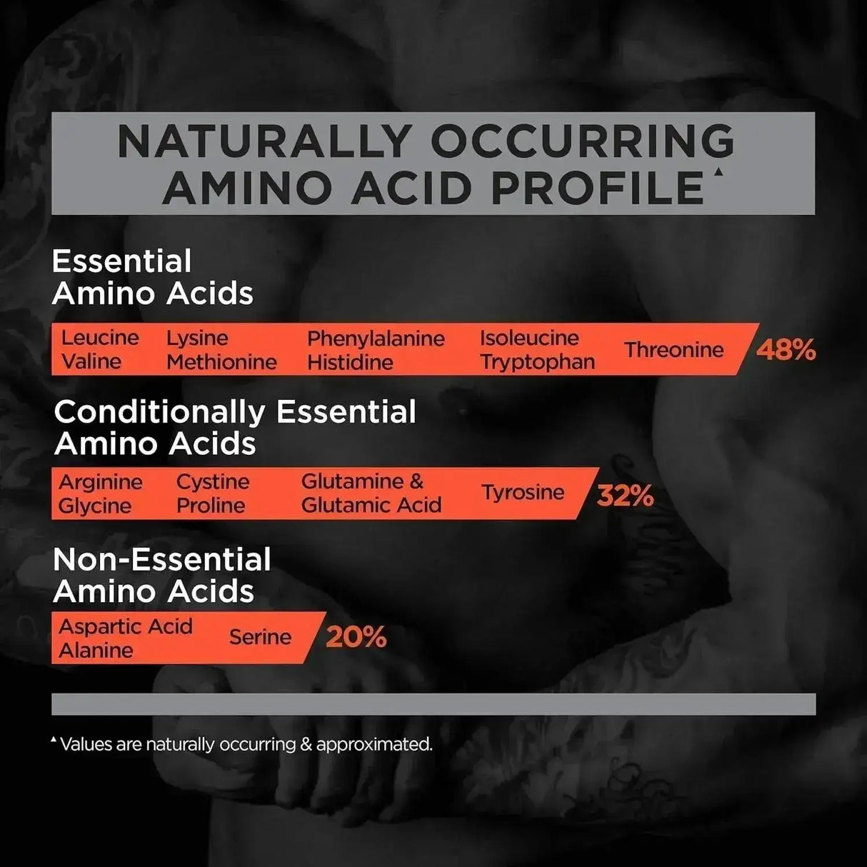 RULE ONE - Rule One Proteins R1 Protein Cookies and Crème 900Gr. - The Red Vitamin MX - Suplementos Alimenticios - {{ shop.shopifyCountryName }}