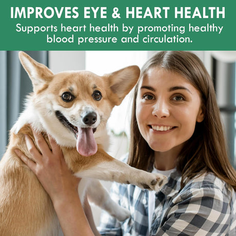 HOLISTIC BIN - Holistic Bin Canine Chlorella Tablets 100 Tabletas - The Red Vitamin MX - Suplementos Herbales Para Perros - {{ shop.shopifyCountryName }}