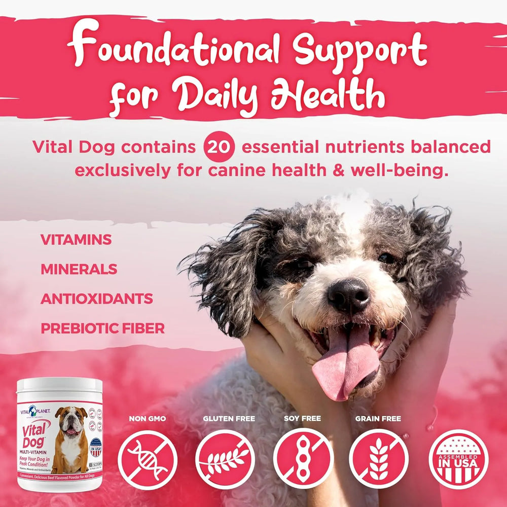 VITAL PLANET - Vital Planet Vital Dog Multi Vitamin Powder 30 Servicios 75Gr. - The Red Vitamin MX - Multivitamínicos Para Perros - {{ shop.shopifyCountryName }}