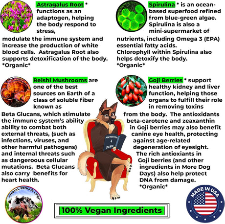 MORE DOG DAYS - More Dog Days Anti-Aging & Immune Support 50 Servicios 330Gr. - The Red Vitamin MX - Suplementos Herbales Para Perros - {{ shop.shopifyCountryName }}