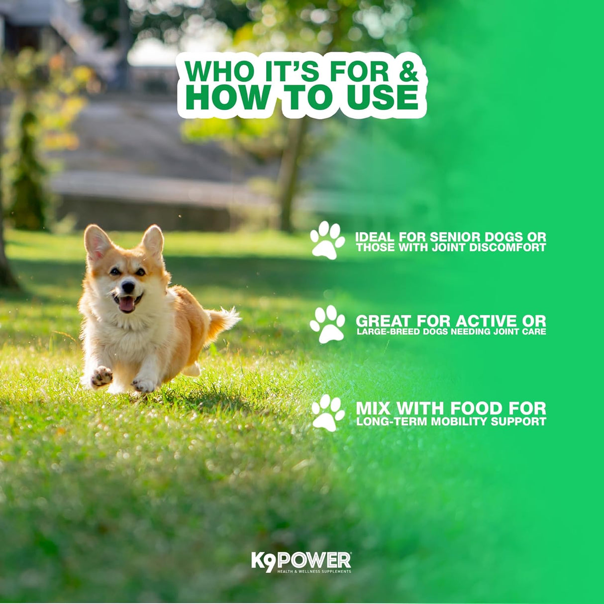 K9 Power Joint Strong Supplement 454Gr. 2 Pack