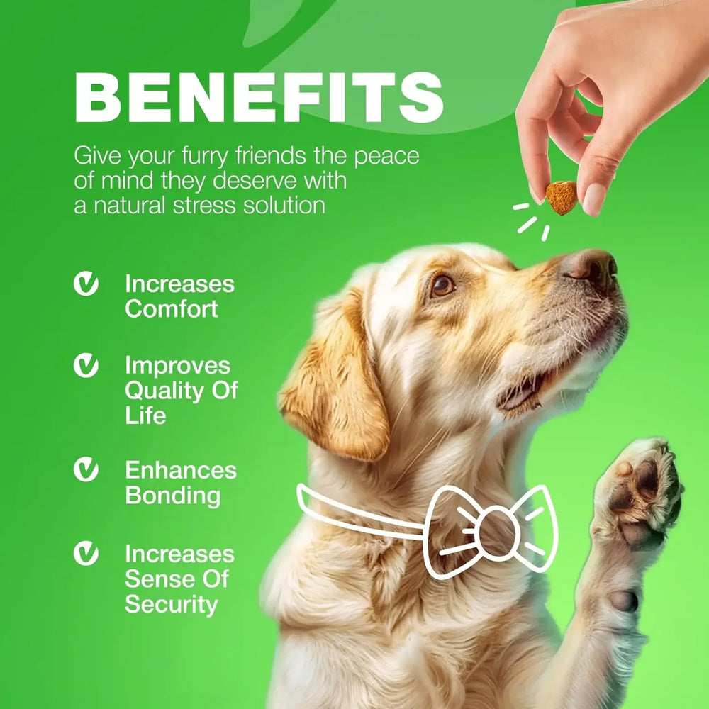 CHEWIA - CHEWIA Grass Burn Spot Chews for Dogs Duck 180 Masticables - The Red Vitamin MX - Salud De Tracto Urinario Para Perros - {{ shop.shopifyCountryName }}