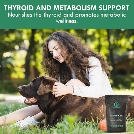 HOLISTIC BIN - Holistic Bin Canine Atlantic Sea Kelp for Dogs 50Gr. - The Red Vitamin MX - Suplementos Herbales Para Perros - {{ shop.shopifyCountryName }}