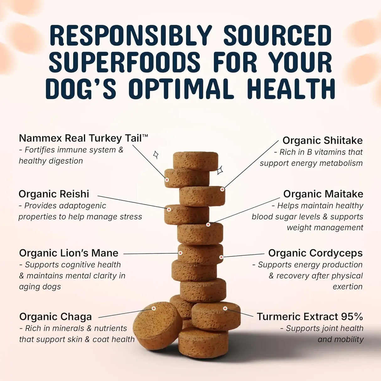 PETS ARE KIDS TOO - Pets Are Kids Too Turkey Tail Mushroom for Dogs 120 Masticables 2 Pack - The Red Vitamin MX - Suplementos Herbales Para Perros - {{ shop.shopifyCountryName }}