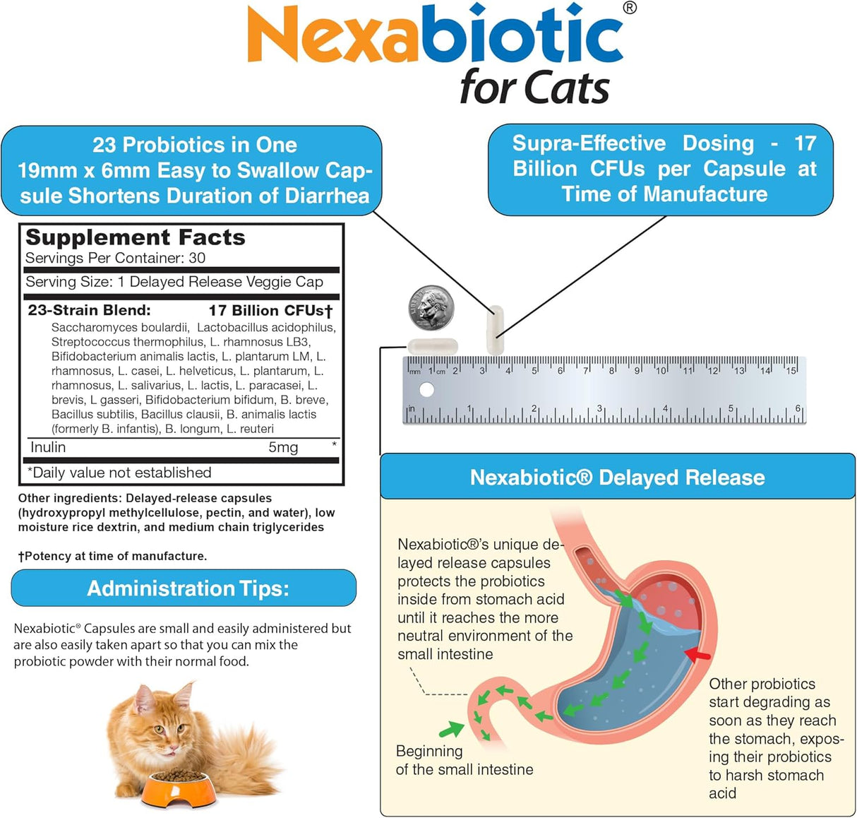 DrFormulas Nexabiotic Probiotics for Cats Powder 30 Capsulas