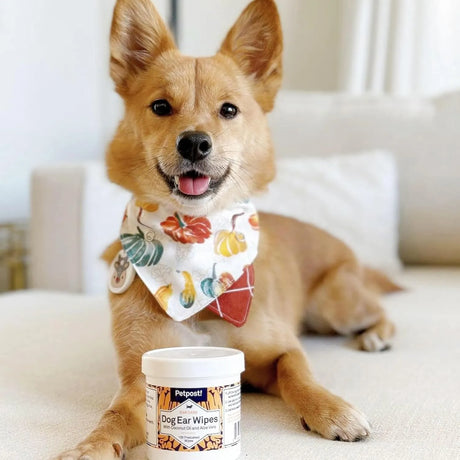 PETPOST - Petpost Dog Ear Cleaner Wipes Coconut Oil Aloe Solution 100 Toallitas - The Red Vitamin MX - Cuidado Del Oído De Perros - {{ shop.shopifyCountryName }}