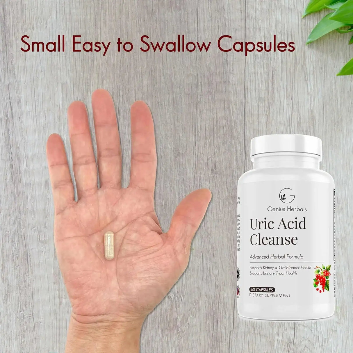 GENIUS HERBALS - Genius Herbals Uric Acid Cleanse Supports Kidney Liver Gallbladder & Urinary Tract Health 60 Capsulas - The Red Vitamin MX - Suplementos Alimenticios - {{ shop.shopifyCountryName }}