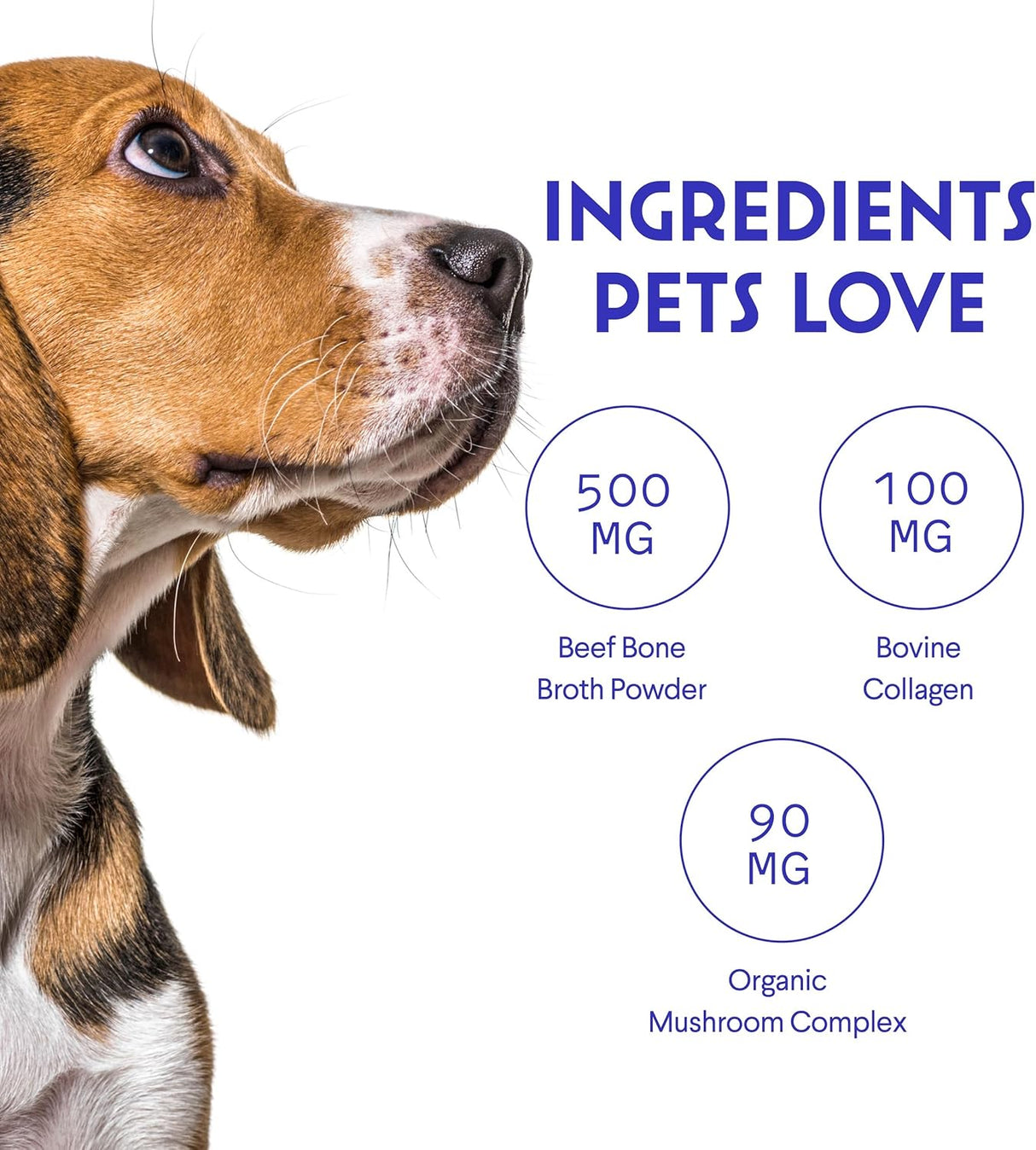 WONDER PAWS - WONDER PAWS Bone Broth Powder with Organic Mushrooms & Collagen 90Gr. - The Red Vitamin MX - Suplementos Herbales Para Perros - {{ shop.shopifyCountryName }}