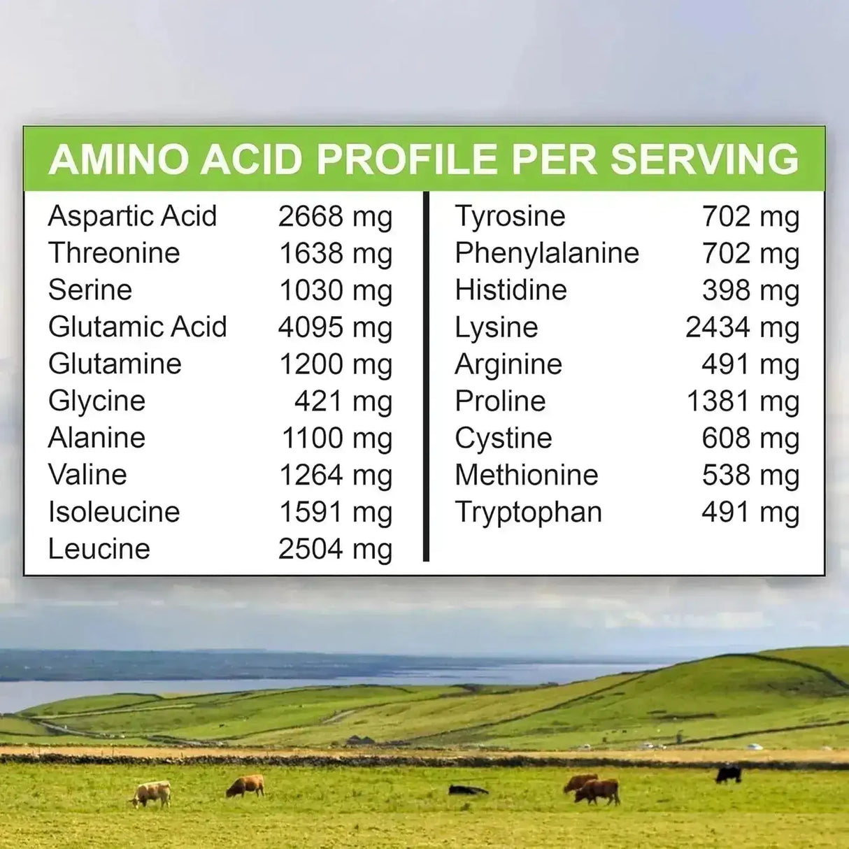 MARIGOLD - MariGold Grass-fed Whey Protein Isolate Powder Creamy Rich Chocolate Malt 454Gr. - The Red Vitamin MX - Suplementos Alimenticios - {{ shop.shopifyCountryName }}