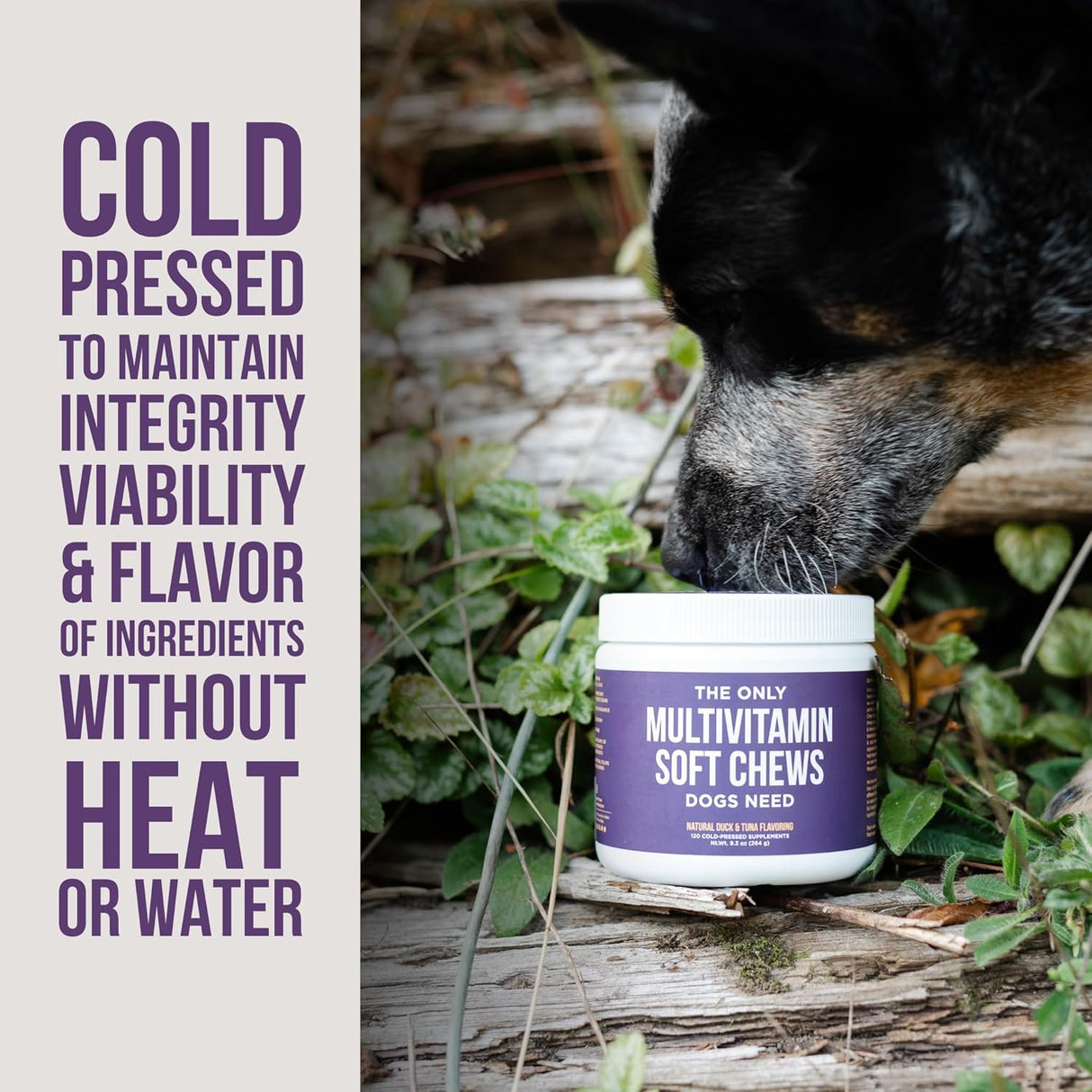 Natural Rapport Dog Multivitamin 120 Masticables