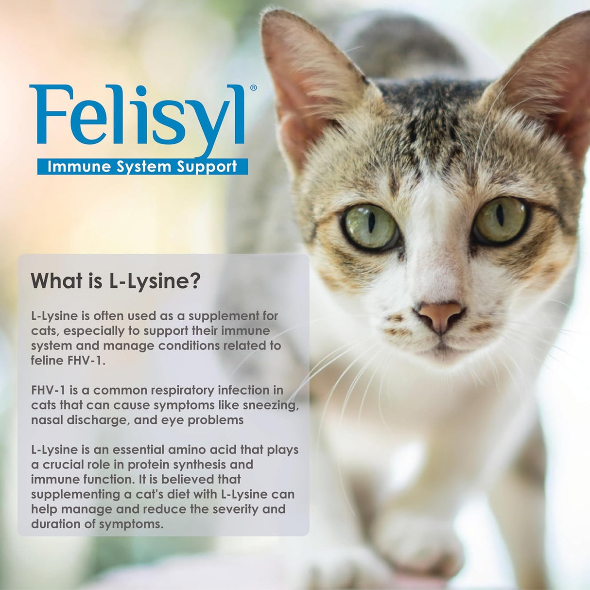 Felisyl L-Lysine Gel for Cats 5 Oz. 2 Pack