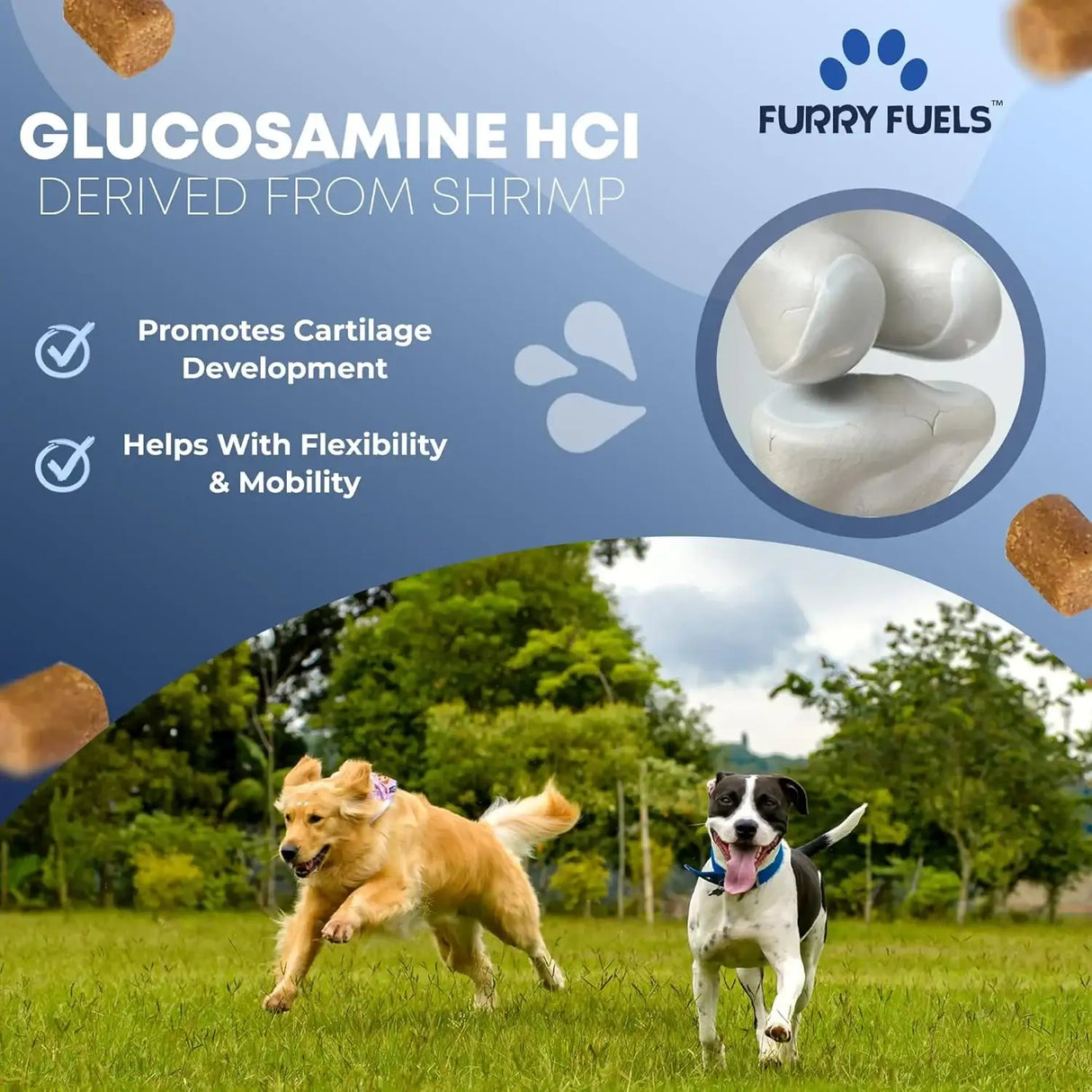 FURRY FUELS - FURRY FUELS Hip and Joint Supplement for Dogs 120 Masticables - The Red Vitamin MX - Cuidado De Cadera Y Articulaciones Para Perros - {{ shop.shopifyCountryName }}