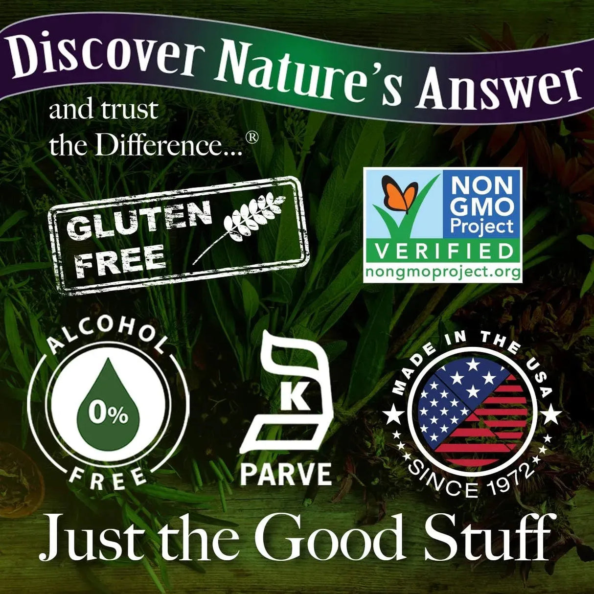 NATURE´S ANSWER - Nature's Answer Echinacea Extract 2 Fl.Oz. - The Red Vitamin MX - Suplementos Alimenticios - {{ shop.shopifyCountryName }}