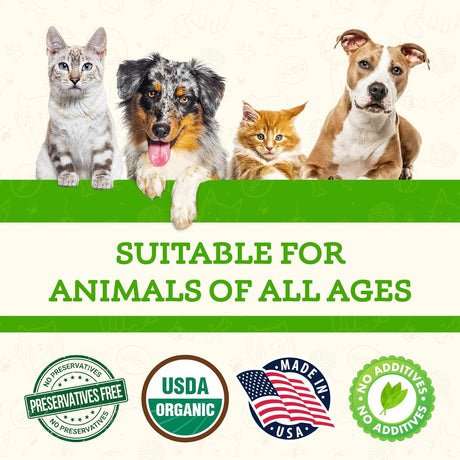 ANIMAL ESSENTIALS - Animal Essentials MUSHROOM DEFENSE Supplement for Dogs 70Gr. - The Red Vitamin MX - Suplementos Herbales Para Perros - {{ shop.shopifyCountryName }}